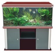 AQUATLANTIS EVASION 120X60X75 аквариум, орех (050), 4X54W T5, 485л., отражатель 4 шт.
