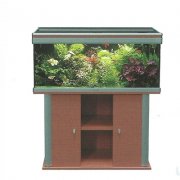 AQUATLANTIS AMBIANCE 101 аквариум, дуб (044), 101х41x50см, 180л 2*45w T5+FIL.Biobox 2