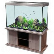 AQUATLANTIS EVASION 127X50X85 аквариум, бук (029), 501л, 4x54W (1047мм), отражатель 4 шт.