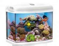 AQUAEL аквариум морской рифовый REEFMAX 80л белый освещение синий светодиод (3хT5 24W) таймер подсветки, система вентиляторов, пеноотделитель