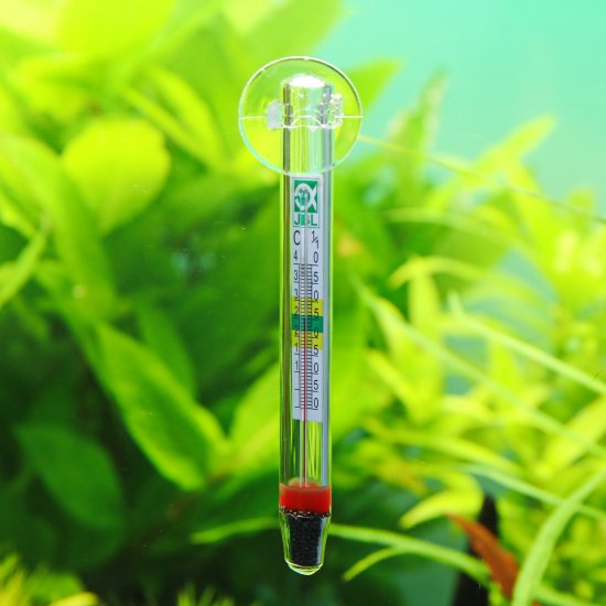JBL Aquarien-Thermometer Термометр для аквариумов стеклянный с присоской 11см - Кликните на картинке чтобы закрыть