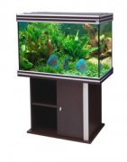 AQUATLANTIS EVASION 101X50X70 аквариум, дуб (044), 315л, 4X45W T5, отражатель 4 шт.