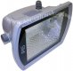ГО 32-150 SM (GS-120A) Rx7S IP65 светильник-прожектор 150Вт симметр. отражатель c пуск. устр. серый, настен./потолочное крепл