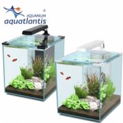 AQUATLANTIS NANO CUBIC 40 аквариум, белый (025), LED 58, 30*35*48, 40л., Mini Biobox 2