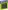 JUWEL Root 450 фон рельефный 45x45см