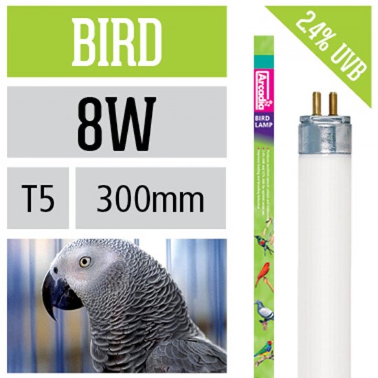 Arcadia Bird Lamp FB08 8Вт 30см G5 D16мм 5600K 2,4%UVB 12%UVA люм. лампа д/птиц - Кликните на картинке чтобы закрыть