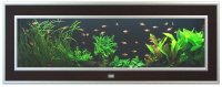AQUATLANTIS AQUAPLASMA 130 аквариум, черный (001), 130х18х44см, 70л 1*30w T8, отражатель+FIL.Mini Biobox 2
