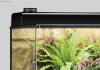 HAGEN Exo Terra Combometer Гигрометр + термометр для террариума электронный комбинированный