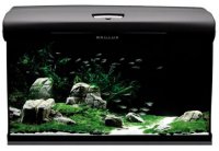 AQUAEL аквариум BRILLUX 60 (Т5) фигурн -60л (Свет 1*24+Fan2Plus+AQ75w+Корм-Актимин+ср-во для растений-Актиплант+ср-во для воды АктиКлин)