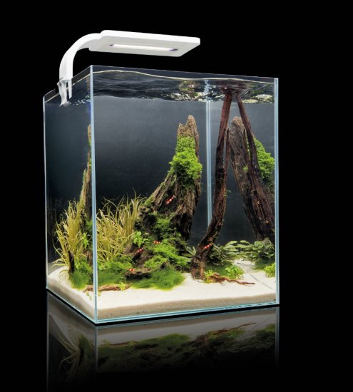 AQUAEL LEDDY SMART LED PLANT 6Вт 8000К Светильник с креплением для нано-аквариумов белый - Кликните на картинке чтобы закрыть