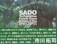 ADA Sado - To primitive forest from bottom of sea фотоальбом
