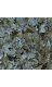 JBL Spirulina Корм премиум класса 40% спирулины хлопья для растительноядных в пресном/морском аквариуме 100мл (15г)