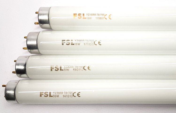 FSL Лампа люминесцентная 18вт Белый свет Т8/765 патрон 60 см G13 диам 26мм - Кликните на картинке чтобы закрыть