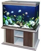 AQUATLANTIS EVASION 101X50X85 аквариум, венге (031), 398л, 4x45W T5, отражатель 4 шт