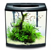 AQUAEL аквариум PEARL HIGH 40 дуговой 32л 40х25х40