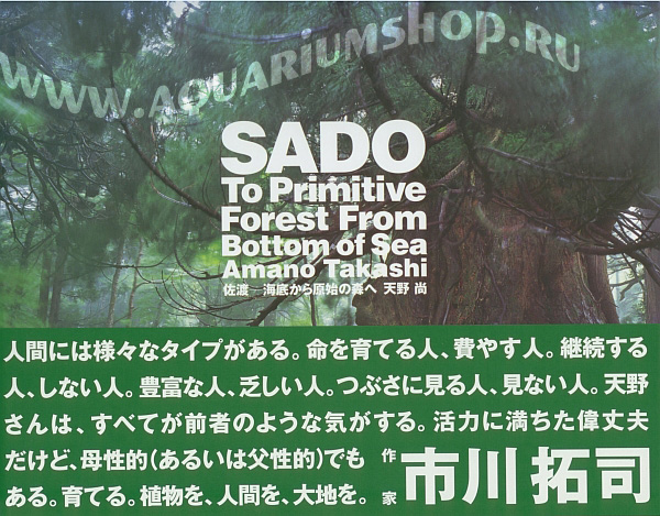 ADA Sado - To primitive forest from bottom of sea фотоальбом - Кликните на картинке чтобы закрыть