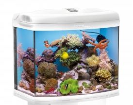 AQUAEL аквариум морской рифовый REEFMAX 80л белый освещение синий светодиод (3хT5 24W) таймер подсветки, система вентиляторов, пеноотделитель - Кликните на картинке чтобы закрыть