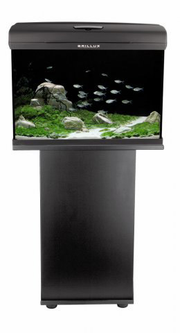 AQUAEL подставка под аквариум BRILLUX прямоугольная 60х30х70см (Графит) - Кликните на картинке чтобы закрыть
