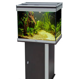 AQUATLANTIS AMBIANCE 60 аквариум, венге (031), 60х40x55см, 115л 2*24w T5+FIL. Biobox 2 - Кликните на картинке чтобы закрыть