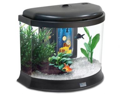 AQUATLANTIS AQUATRESOR аквариум, черный (001), 42*26*34см, 20л, LED 19 (leds), + FIL Biobox 0 - Кликните на картинке чтобы закрыть