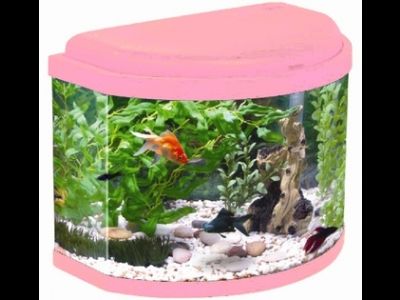 AQUATLANTIS AQUATRESOR аквариум, розовый (020), 42*26*34см, 20л, LED 19 (leds), + FIL Biobox 0 - Кликните на картинке чтобы закрыть