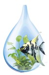 DENNERLE AquaRico Avera кондиционер для водопроводной воды (для 16000л) 500мл - Кликните на картинке чтобы закрыть