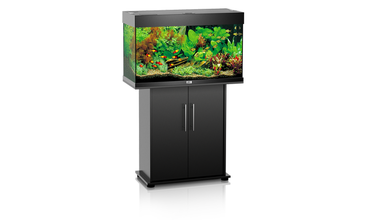 JUWEL RIO 125 аквариум, черный (Black), 81*36*50 см., 125л., 2*28W Т5,+FIL Bioflow 3.0 JUWEL RIO 125 аквариум, черный (Black), 81*36*50 см., 125л., 2*28W Т5,+FIL Bioflow 3.0