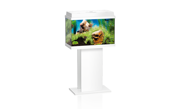 JUWEL REKORD 700 аквариум, белый (White), 61*31*46.5 см.,70л., 1*15W Т8,+FIL Bioflow Super JUWEL REKORD 700 аквариум, белый (White), 61*31*46.5 см.,70л., 1*15W Т8,+FIL Bioflow Super