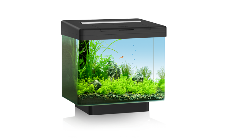 JUWEL VIO 40 аквариум, черный (Black), 40*26*35 см.,30л., 1*15W PL4,+FIL Bioflow Mini - Кликните на картинке чтобы закрыть