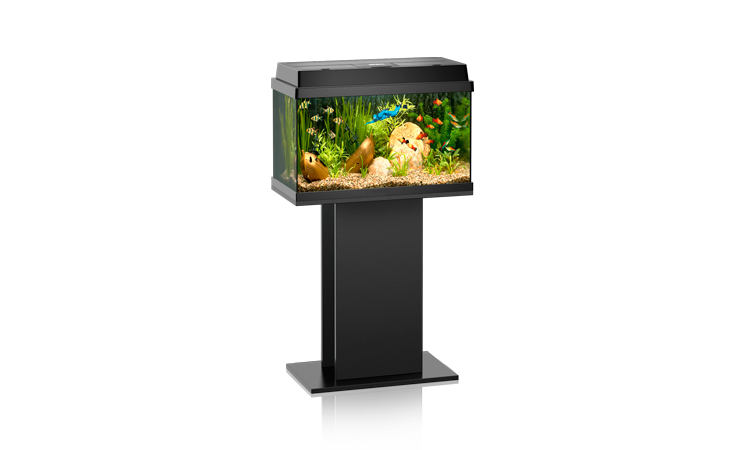 JUWEL REKORD 600 аквариум, черный (Black), 61*31*42 см.,63л., 1*15W Т8,+FIL Bioflow Super JUWEL REKORD 600 аквариум, черный (Black), 61*31*42 см.,63л., 1*15W Т8,+FIL Bioflow Super