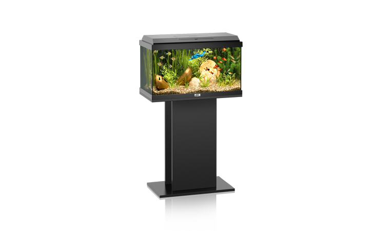 JUWEL KORAL 60 аквариум, черный (black), 61*31*38 см.,54л.,1*20W PL,+FIL Bioflow Mini JUWEL KORAL 60 аквариум, черный (black), 61*31*38 см.,54л.,1*20W PL,+FIL Bioflow Mini