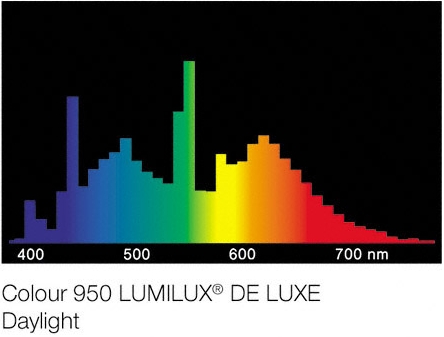 OSRAM L18W/954 LUMILUX de Luxe Daylight T8 18Вт 60см G13 D26мм 5400К (дневной белый) люм. лампа - Кликните на картинке чтобы закрыть