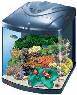 SERA MARIN BIOTOP CUBE 130 plus аквариум с панорамным стеклом, полная комплектация с тумбой Д51хВ66,5хГ57cм 130л - Кликните на картинке чтобы закрыть