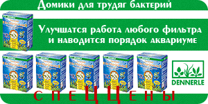 Наполнители Наполнители